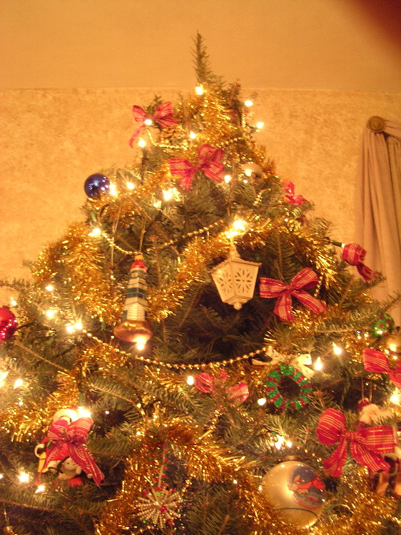 DSCN1139.JPG