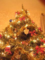 DSCN1139.JPG