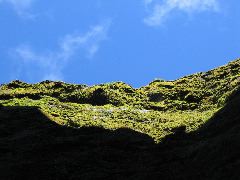 IMG_2019.JPG