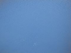 IMG_2059.JPG