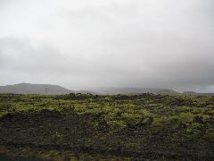 IMG_2086.JPG