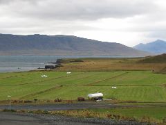 IMG_2088.JPG