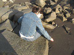 IMG_1931.JPG